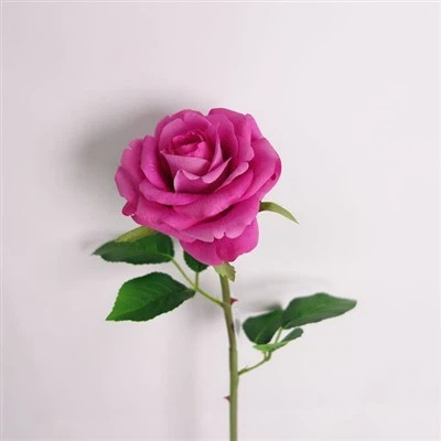 Batang Bunga Sentuhan Alami