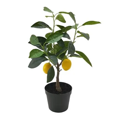 Buah Buatan Tampak Nyata