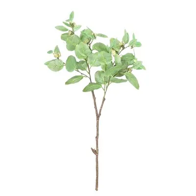 Berry yang disimulasikan